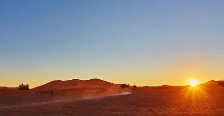 Silhouette of camel caravan in big sand dunes of Sahara desert, Merzouga, Morocco