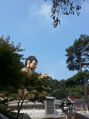 Obraz premium a big statue of buddha is surrounding many trees