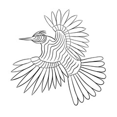 flying bird coloring page contour illustration for children and adults