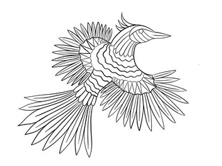 flying bird of paradise coloring page contour illustration for children and adults