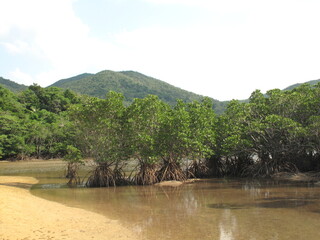 沖縄県の石垣島