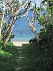 沖縄県の石垣島