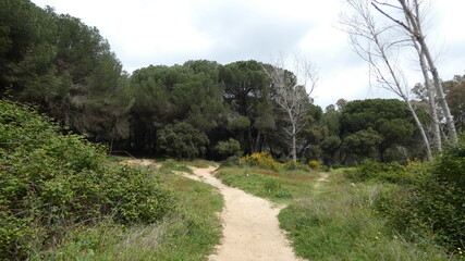 hiking in the mountains