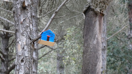 house for birds in a tree