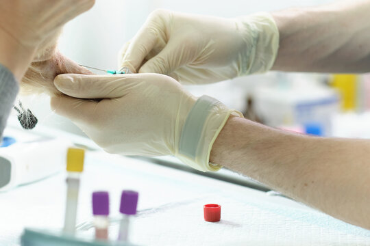 Veterinary Blood test. Animal clinic. Pet check up and vaccination. Health care.