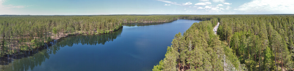 lake in evergreen pine forest