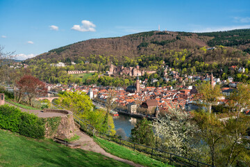 Fototapeta na wymiar View from the Philosopher's walk in Heidelberg, Germany