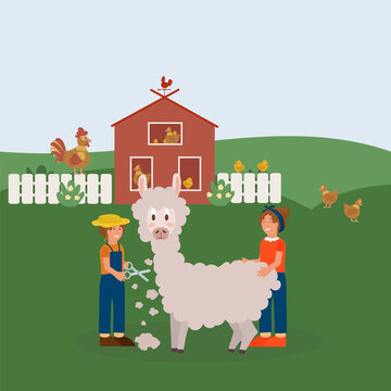 Farm animals with landscape and people. Farm man in cartoon style with chickens and Llama. Working farmers tend and shear livestock. Vector illustration