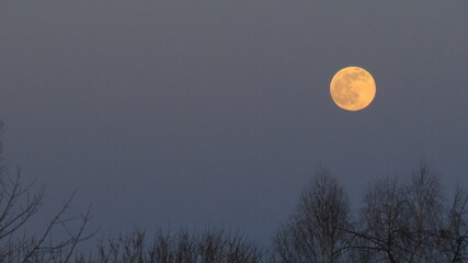 Fototapeta premium Closeup of full moon, taken on 10 march