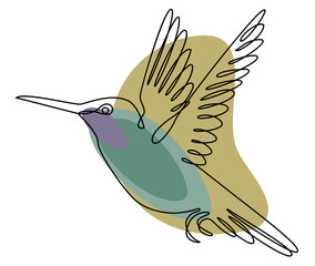 The hummingbird is flying. Bird in modern one line style. Solid line, outline for decor, posters, stickers, logo. Vector illustration.