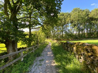 Hikers footpath, with moss covered, dry stone walls, fields, old trees, and broken sunlight in, Blubberhouses, Harrogate, UK