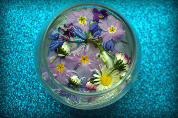 Obraz na płótnie Canvas First Spring Bright Flowers Bowl Water Top View Background Bright Beautiful Flowers
