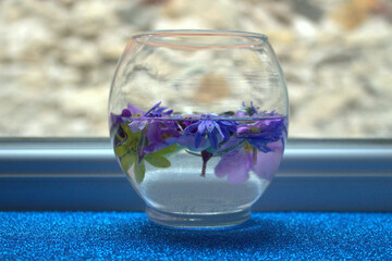 First Spring Bright Flowers Bowl Water Top View Background Bright Beautiful Flowers