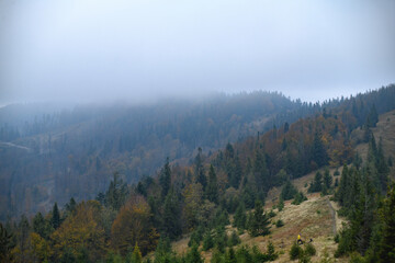 Scenic view of woodland on mountain hills in clouds 