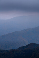 Carpathian mountains with forest and clouds 