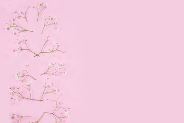 White gypsophila on a pink pastel background.