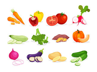 Set of different vegetables in in a trendy cartoon style. Fresh whole, half, cut slice and piece of vegetable isolated on white background. Healthy food concept.	