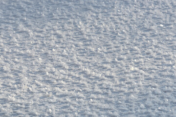 Czech winter landscape, details of icing, Czech Republic, Pilsen region