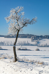 Czech winter landscape, Czech Republic, Pilsen region
