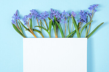 Blank canvas mockup with frame made of snowdrop flowers. Festive floral composition with copy space on blue pastel background. Flat lay, top view, spring minimal concept. Creative flowers flat lay.
