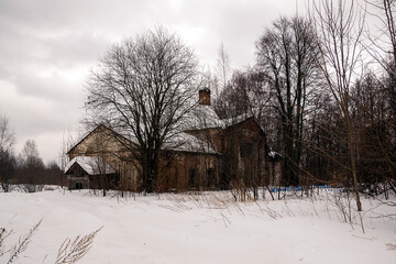 destroyed building in the bushes