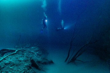 Fototapeta na wymiar Diving in Cenote Angelita, Mexico