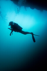 Diving in Cenote Angelita, Mexico