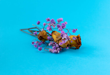 eggs and flowers