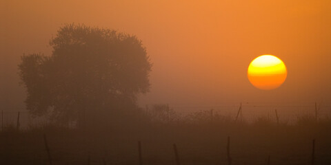Sunrise in the Spanish dehesa, southwestern Spain