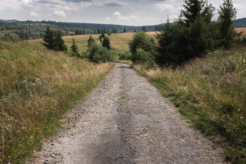 Fototapeta na wymiar A dirt road in the valley, on a warm summer day, Bieszczady National Park, Poland