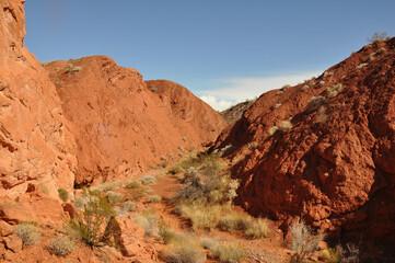 Desert Landscape, hiking trails.
