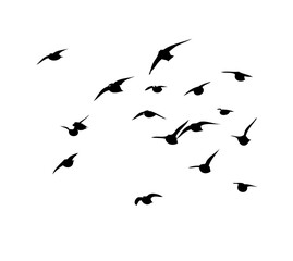 A flock of flying birds. Vector illustration