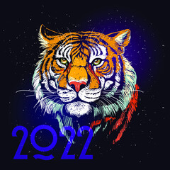 Tiger, drawing of a tiger's head against a starry sky space, Symbol of the Year according to the Chinese calendar