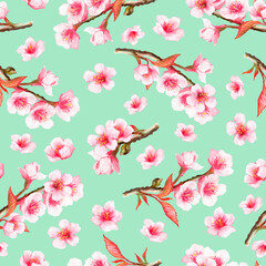 Obraz na płótnie Canvas Watercolor seamless pattern with blooming cherry on a light green background 
