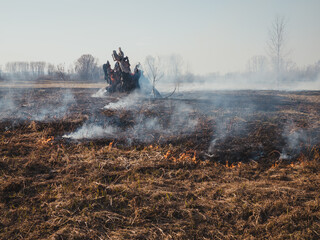 Fototapeta premium Forest fire ashes