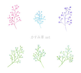 水彩で描くかすみ草セット