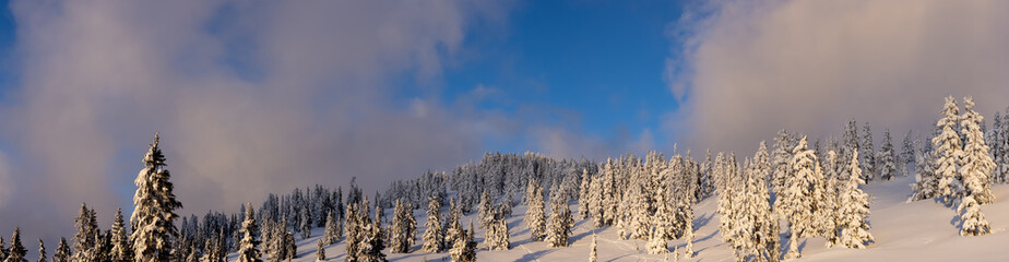 Panoramic View of Canadian Nature Landscape on top of snow covered mountain and green trees during spring sunset. From snowshoe hike up Elfin Lake in Squamish, North of Vancouver, BC, Canada.