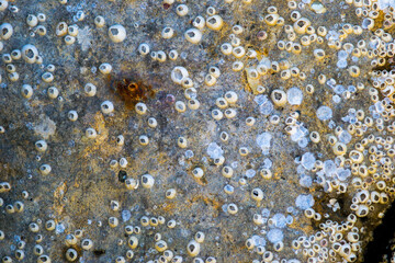 water drops on a glass