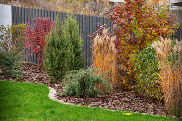 evergreen and seasonal plantings and shrubs with bushes and trees on a flower bed in landscape design decorate the territory of the house