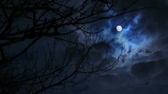 bright full moon in night dramatic sky behind silhouette of tree branch time lapse, halloween theme