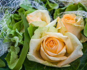 Decoration with beige roses and white ribbon for wedding or birthday.