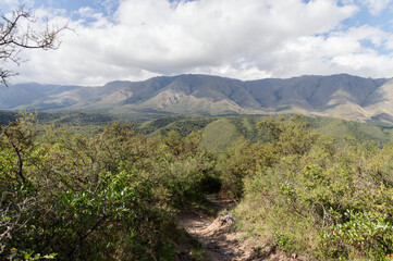 landscape in the mountains
