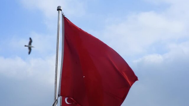 Waving flag of the Republic of Turkey on the blue sky. It is a red rectangular panel with a white crescent and star image. Close-up