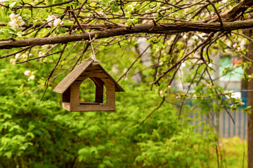 Fototapeta na wymiar bird house bird feeder hanging on a blossoming apple tree