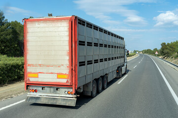 Camión pesado que transporta animales vivos por carretera circulando por la autovía.