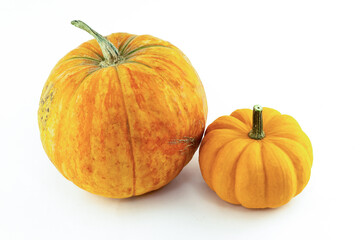 autumn vegetables pumpkin orange large and small on isolated background