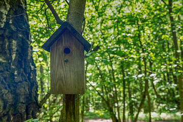 wooden birdhouse birdhouse, traditional treehouse in the woods toned