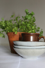 still life with bowl and plant