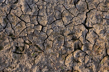 parched earth with cracks and animal tracks