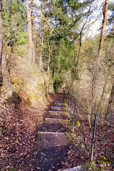 Uphill from the rocks.Located The Bohemian-Moravian Highlands, Czech republi